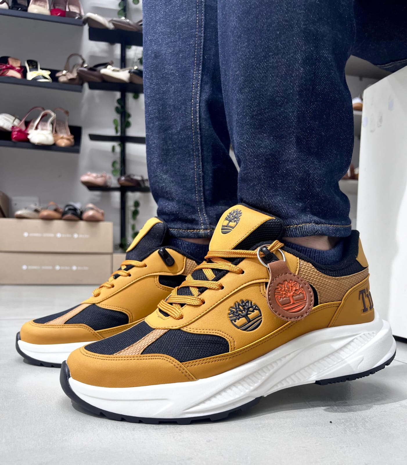 Timberland 1
